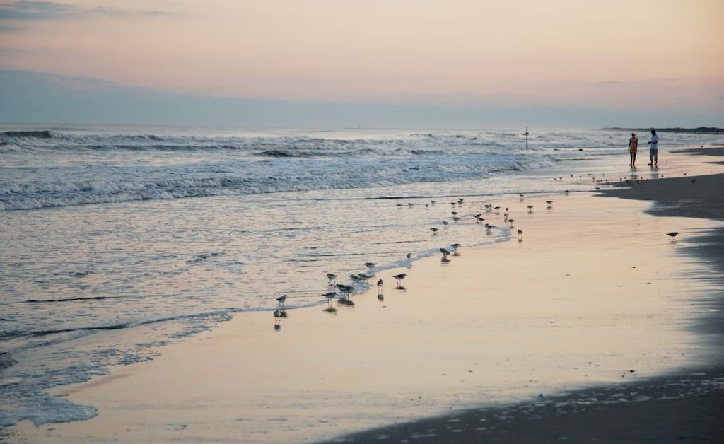 Shalimar Resort Wildwood Crest Kültér fotó