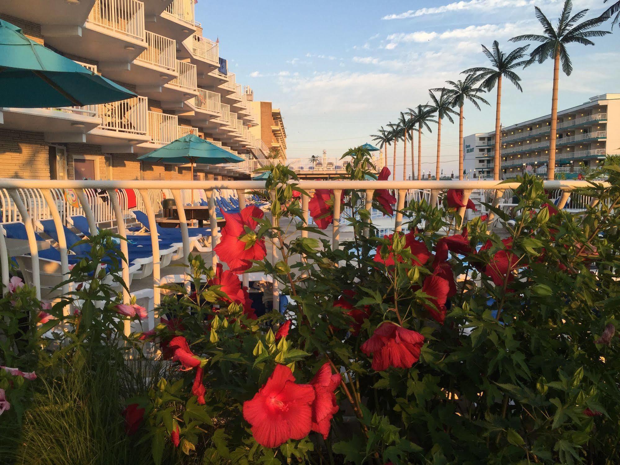 Shalimar Resort Wildwood Crest Kültér fotó